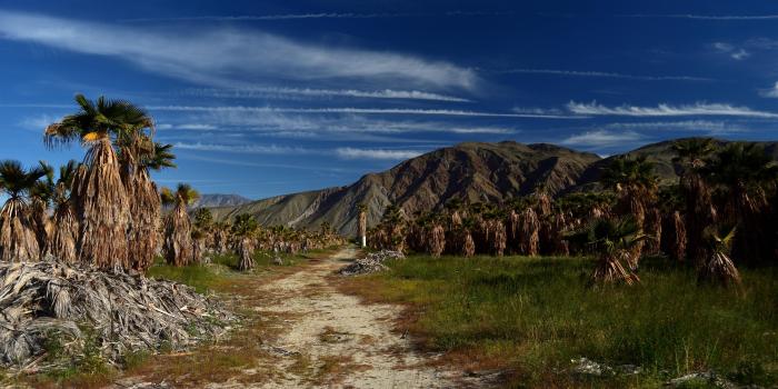 Anza borrego