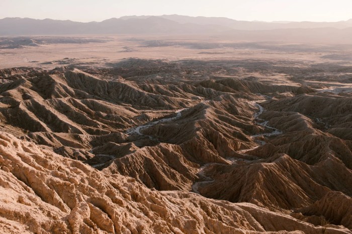 Anza borrego ron